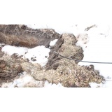 Подснежный интернет - 2.jpg